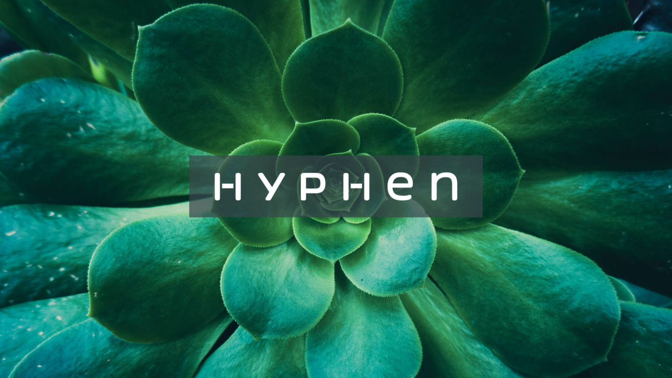 Hyphen logo on a succulent
