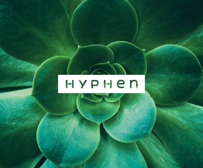 Hyphen logo on a succulent