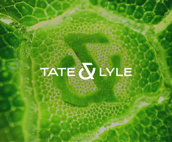 Cdg Website T&L25 Cover